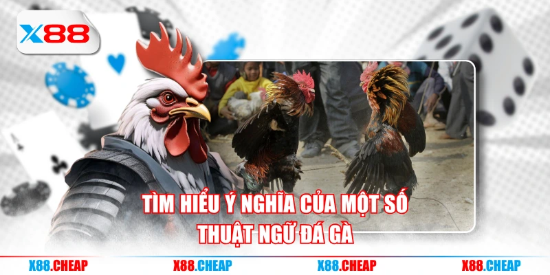 Tìm hiểu ý nghĩa của một số thuật ngữ đá gà